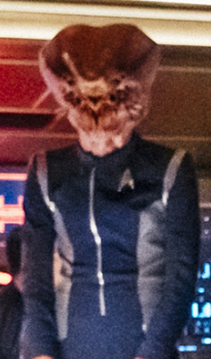 StarTrekDiscovery_Season1_1x04-TheButchersKnifeCaresNotForTheLambsCry_0004_LQ.jpg