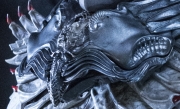 Filename=StarTrekDiscovery_Season1_1x04-TheButchersKnifeCaresNotForTheLambsCry_0007_LQ.jpg
Filesize=216KiB
Dimensions=813x493
Date added=Jul 27, 2018 StarTrekDiscovery_Season1_1x04-TheButchersKnifeCaresNotForTheLambsCry_0007_LQ.jpg