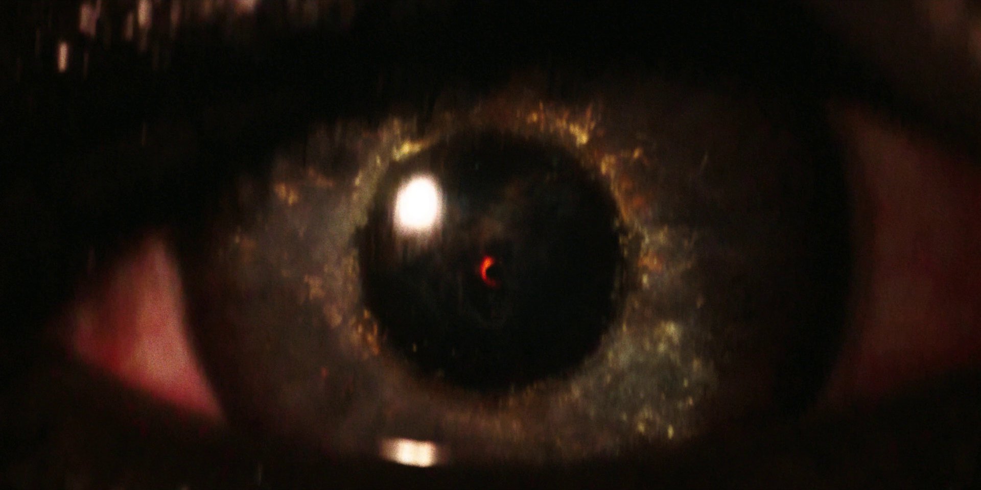 extant_StarTrekDiscovery_1x01-AVulcanHello_0019.jpg