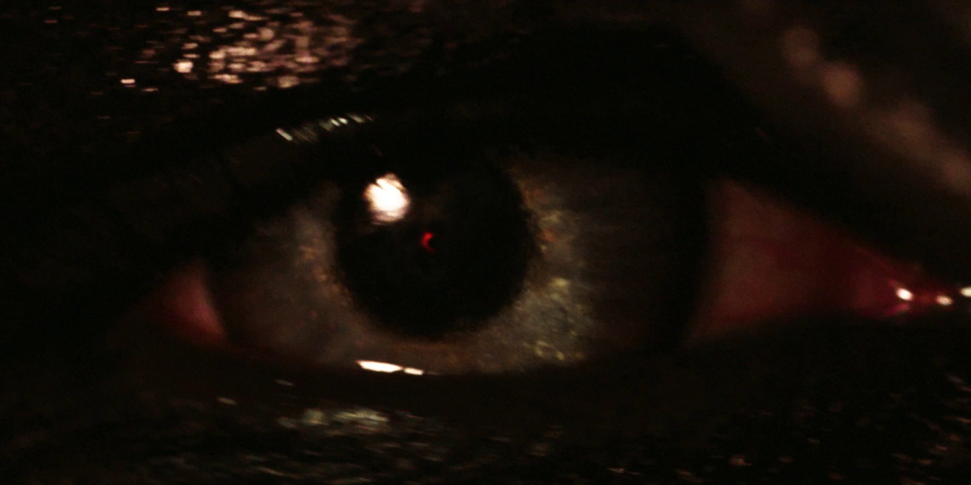 extant_StarTrekDiscovery_1x01-AVulcanHello_0020.jpg