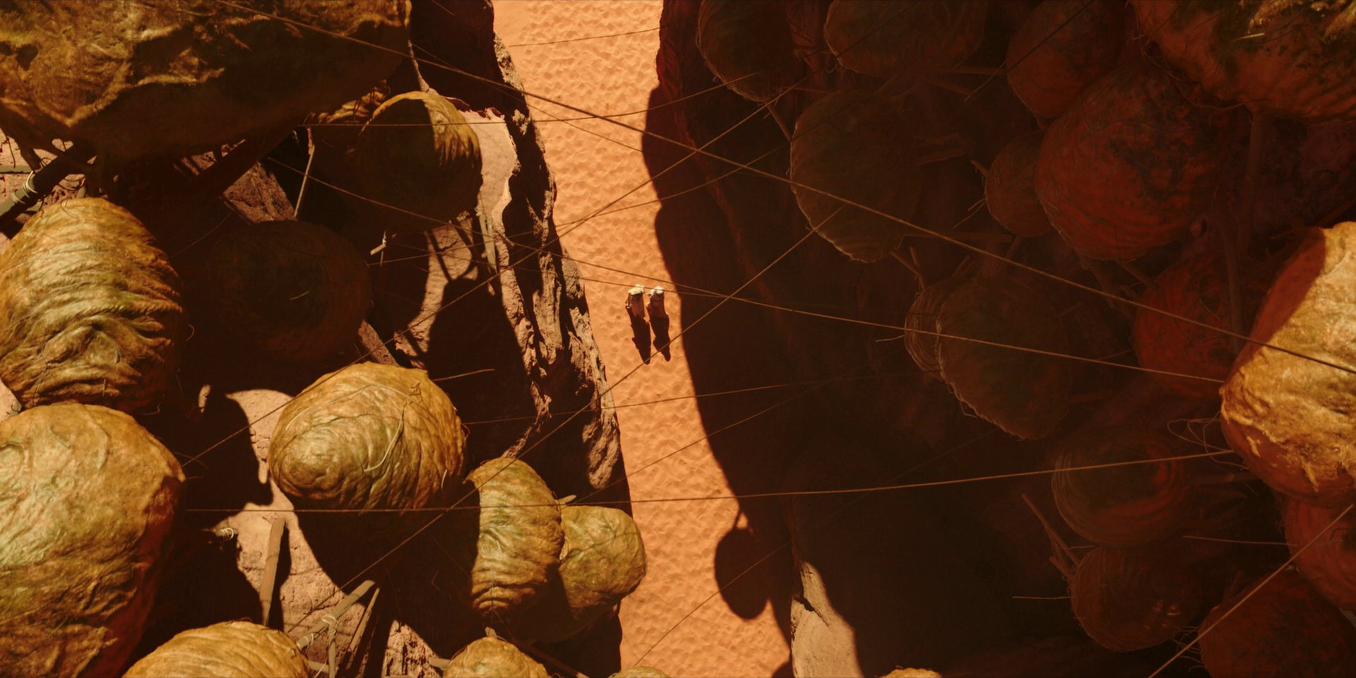 extant_StarTrekDiscovery_1x01-AVulcanHello_0216.jpg