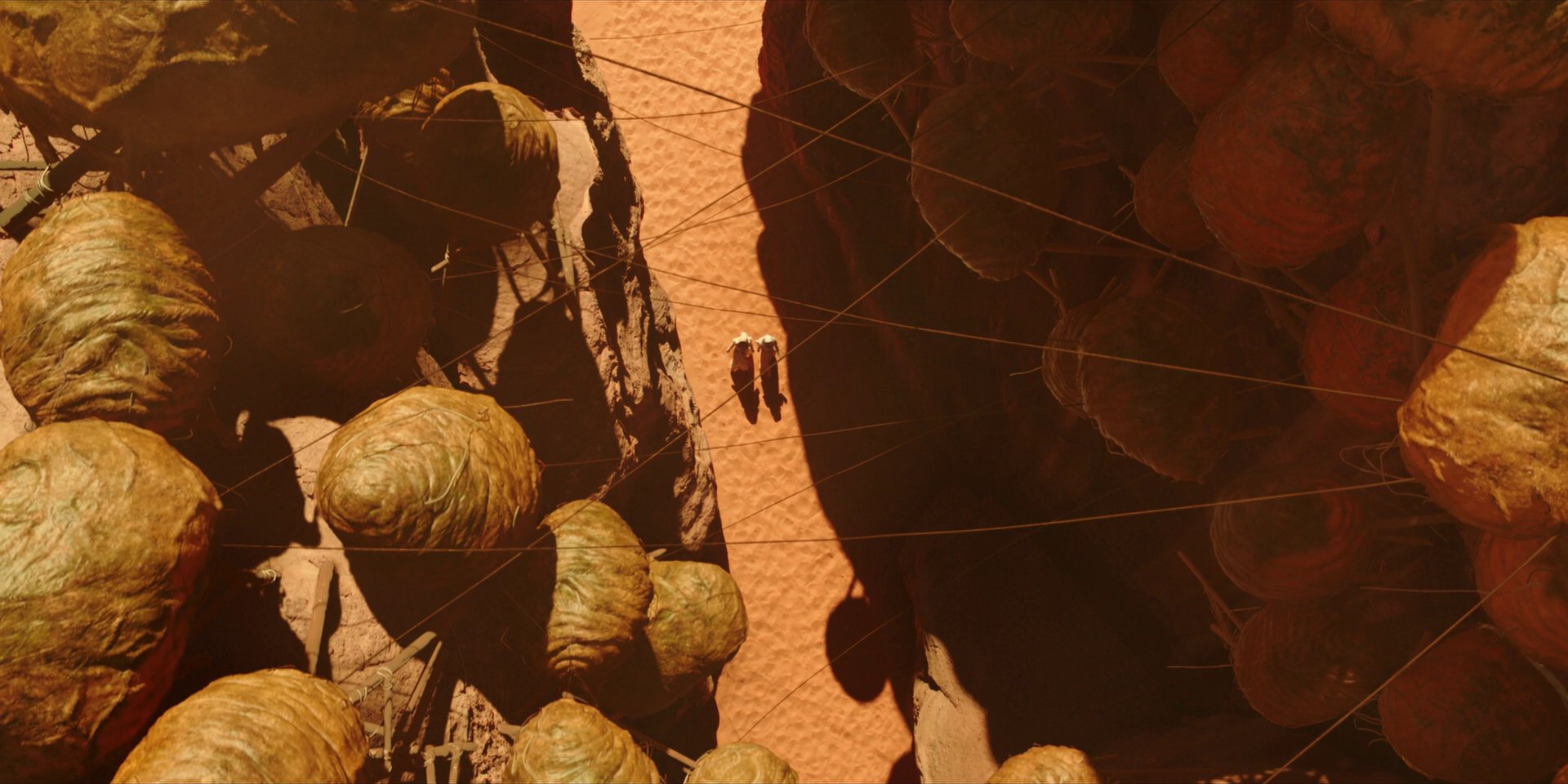 extant_StarTrekDiscovery_1x01-AVulcanHello_0217.jpg