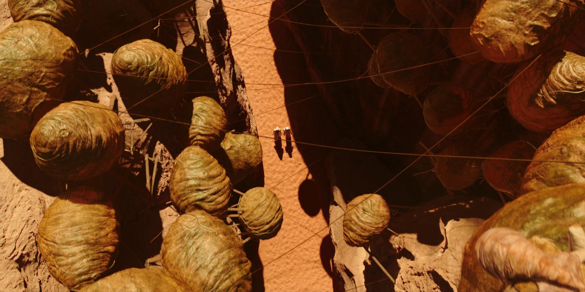 extant_StarTrekDiscovery_1x01-AVulcanHello_0224.jpg