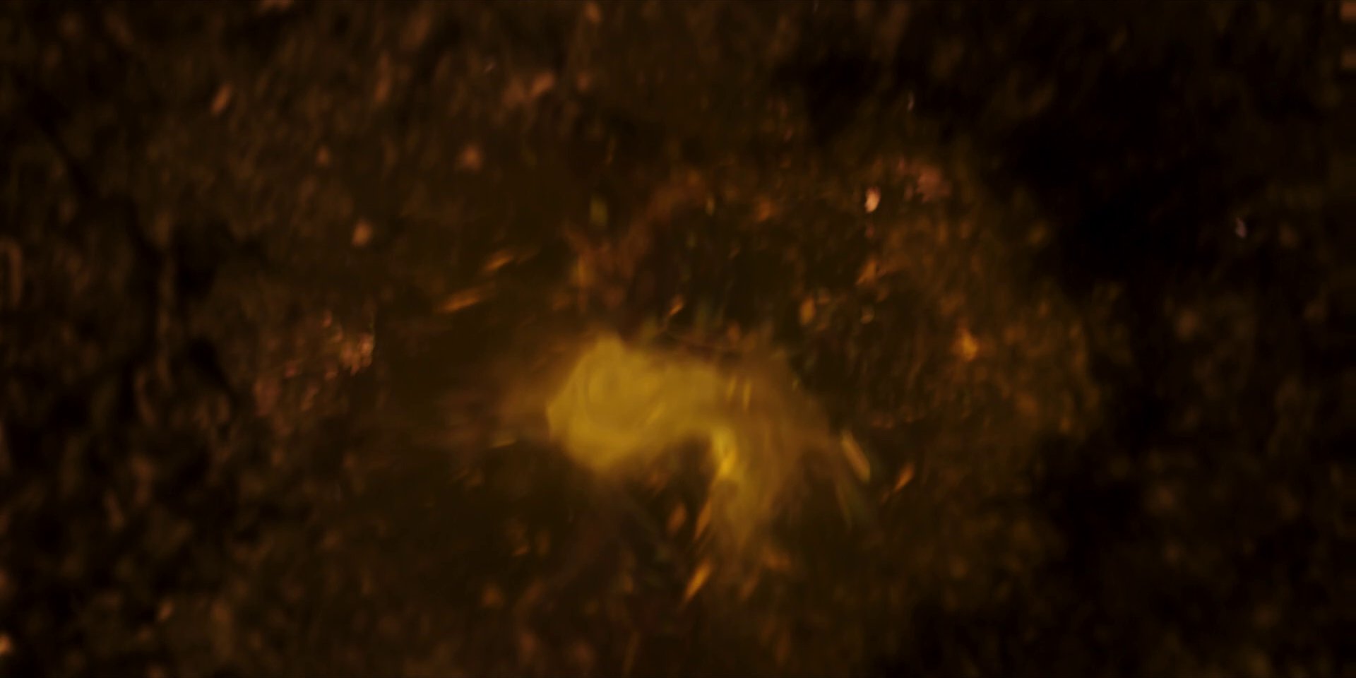 extant_StarTrekDiscovery_1x01-AVulcanHello_0310.jpg