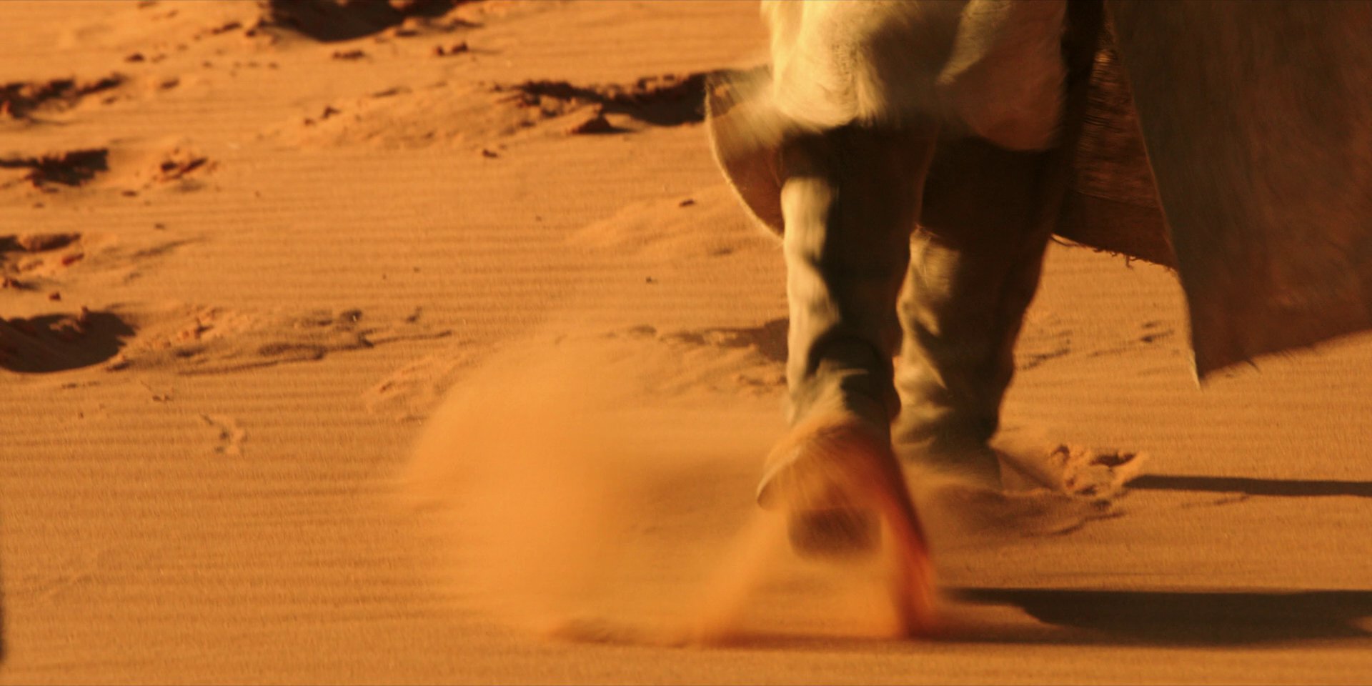 extant_StarTrekDiscovery_1x01-AVulcanHello_0500.jpg