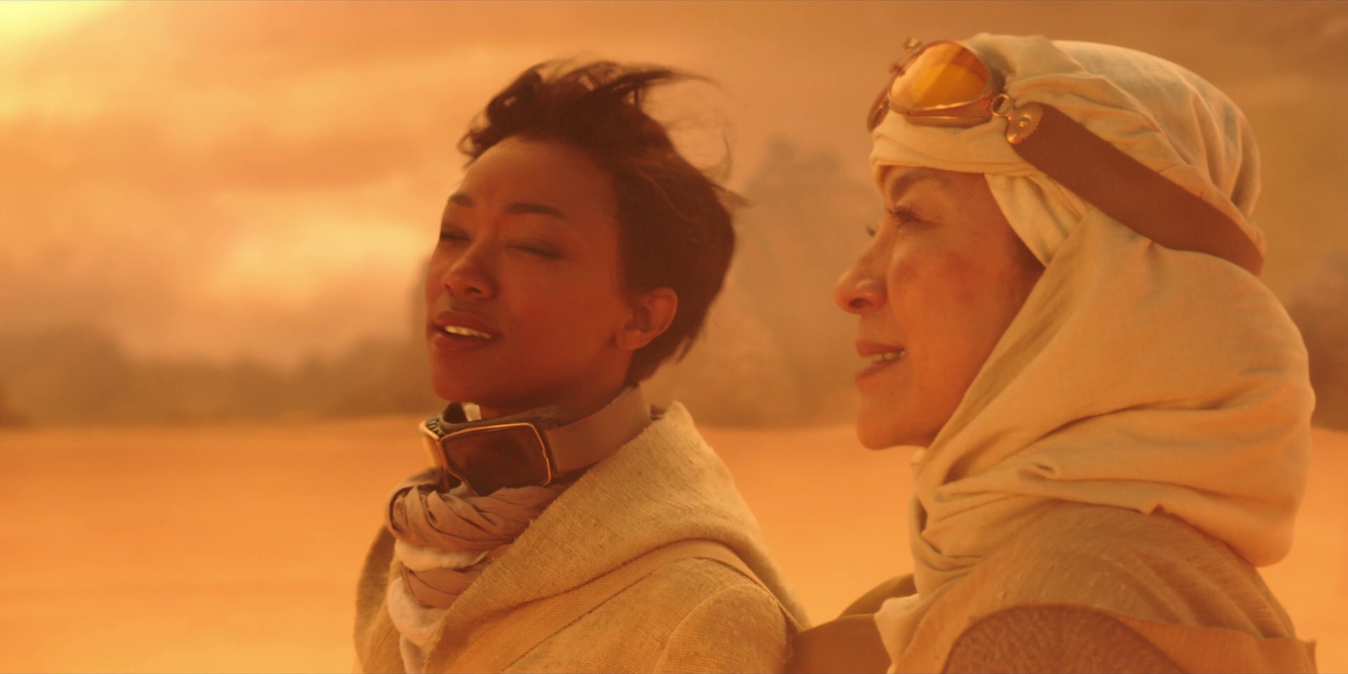 extant_StarTrekDiscovery_1x01-AVulcanHello_0600.jpg
