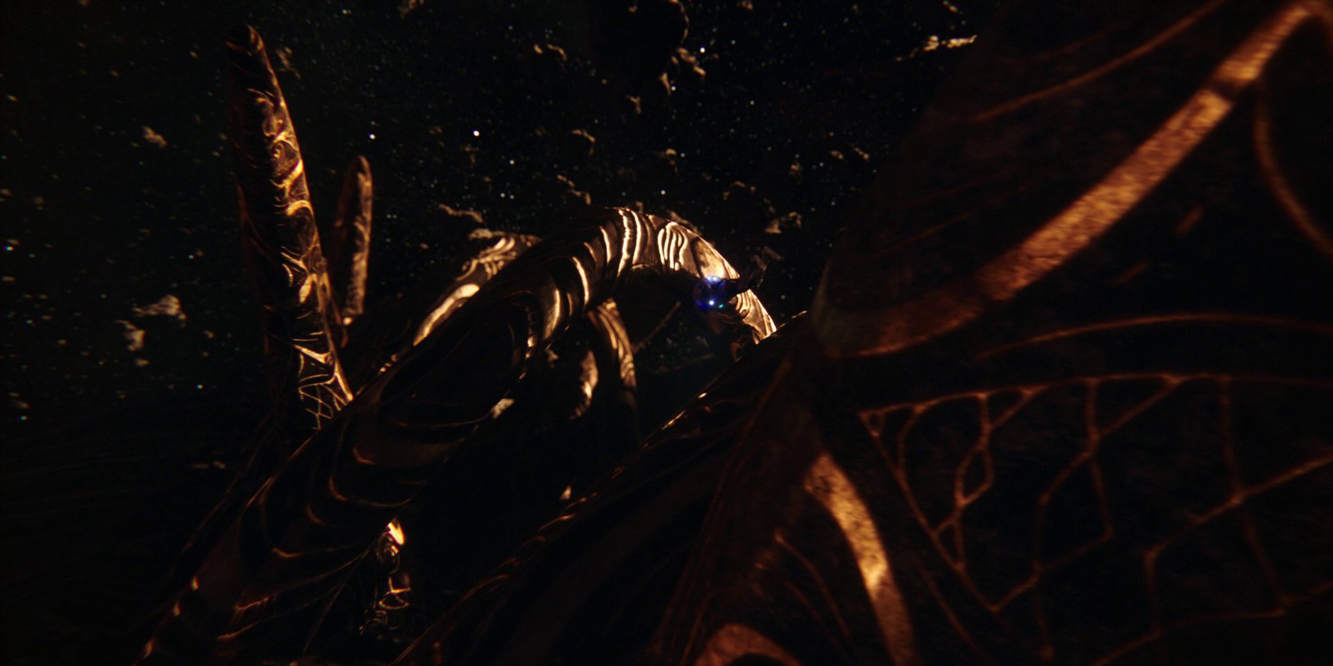 extant_StarTrekDiscovery_1x01-AVulcanHello_1676.jpg