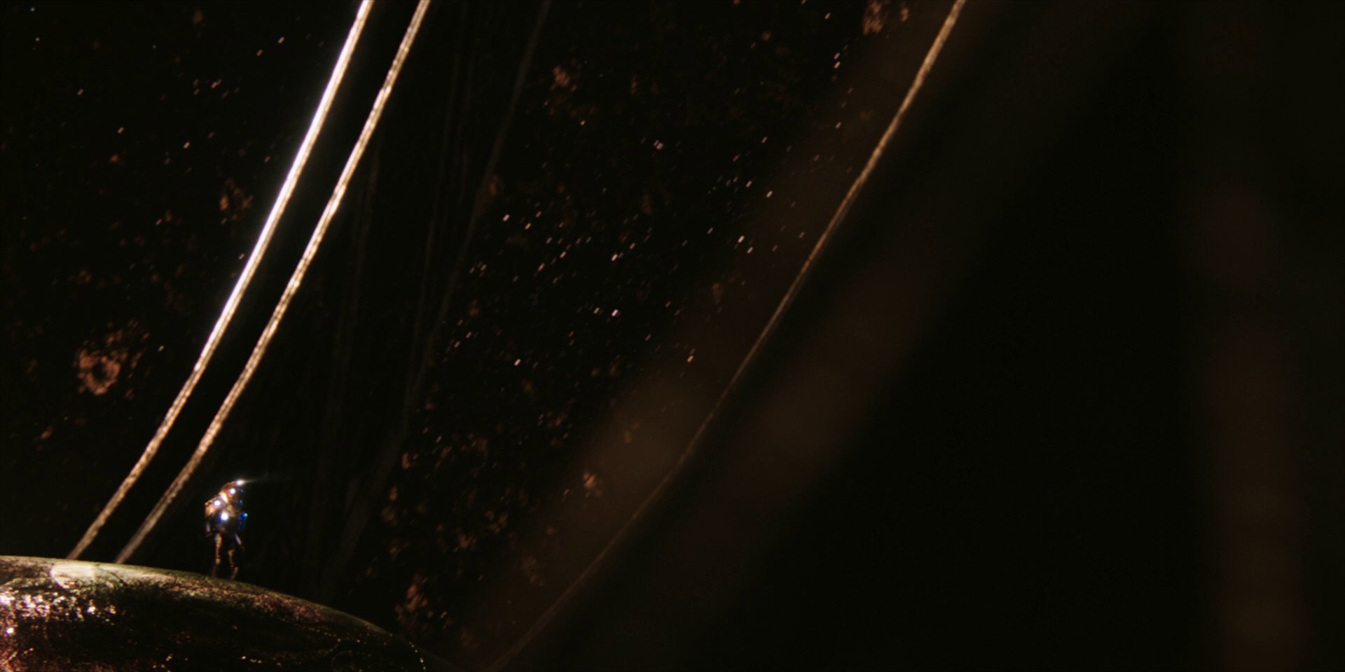 extant_StarTrekDiscovery_1x01-AVulcanHello_1735.jpg