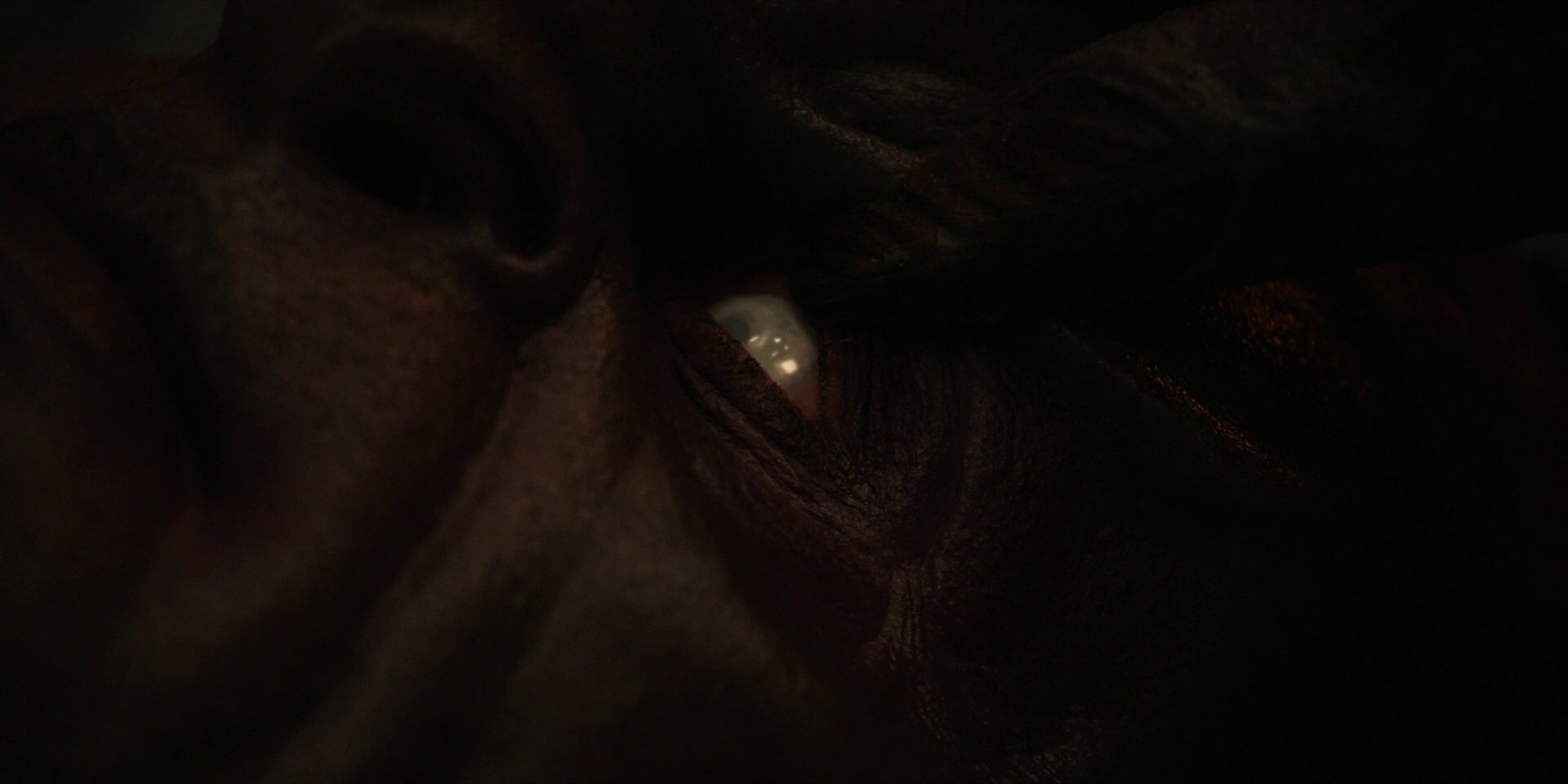 extant_StarTrekDiscovery_1x01-AVulcanHello_1987.jpg