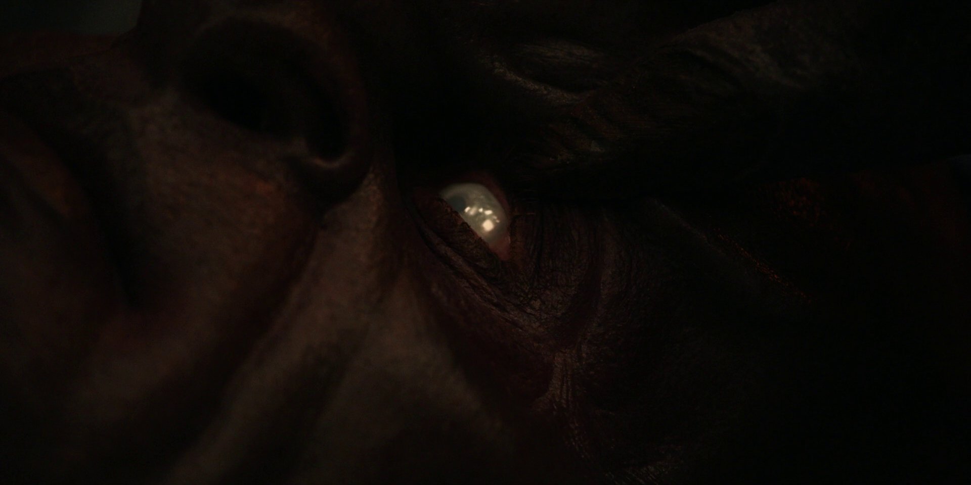 extant_StarTrekDiscovery_1x01-AVulcanHello_1989.jpg