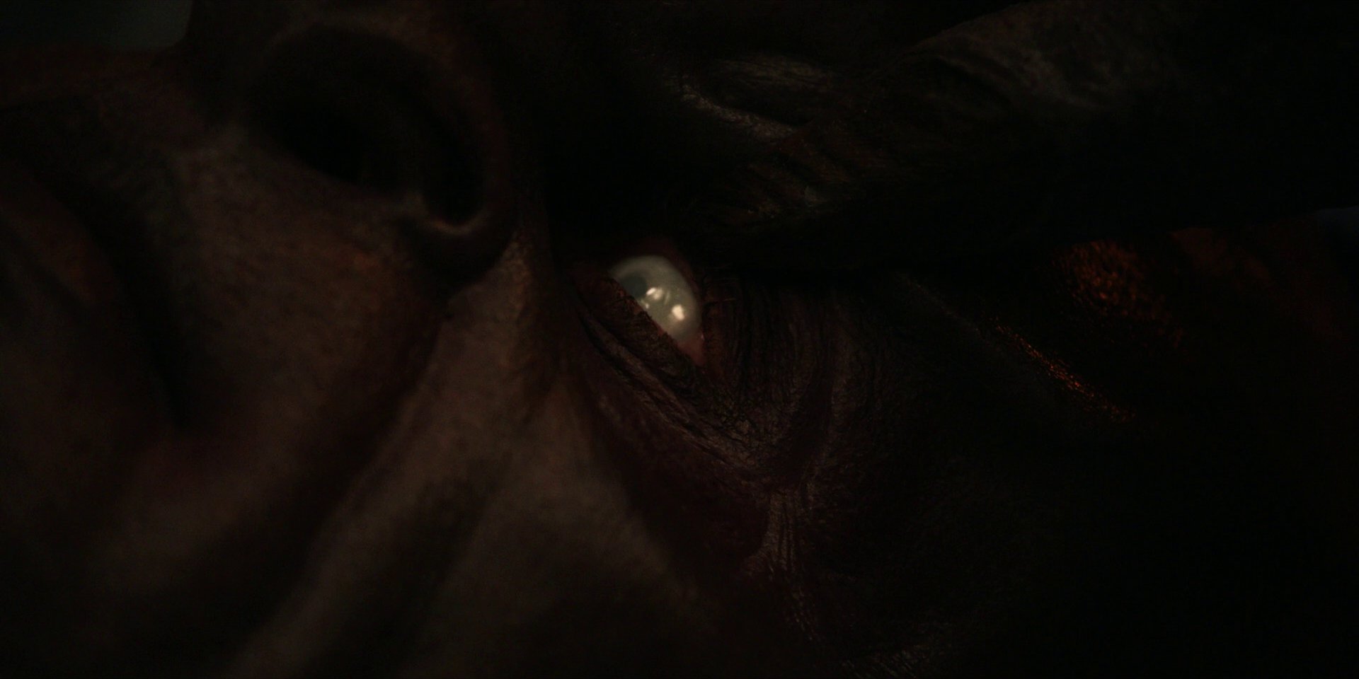 extant_StarTrekDiscovery_1x01-AVulcanHello_1990.jpg