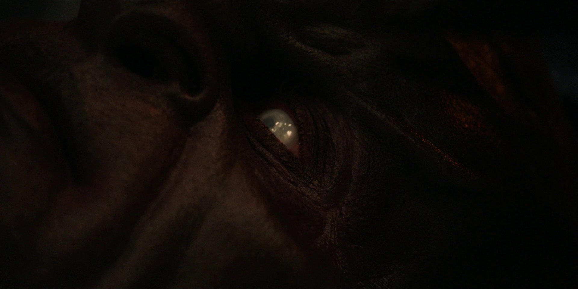 extant_StarTrekDiscovery_1x01-AVulcanHello_1992.jpg