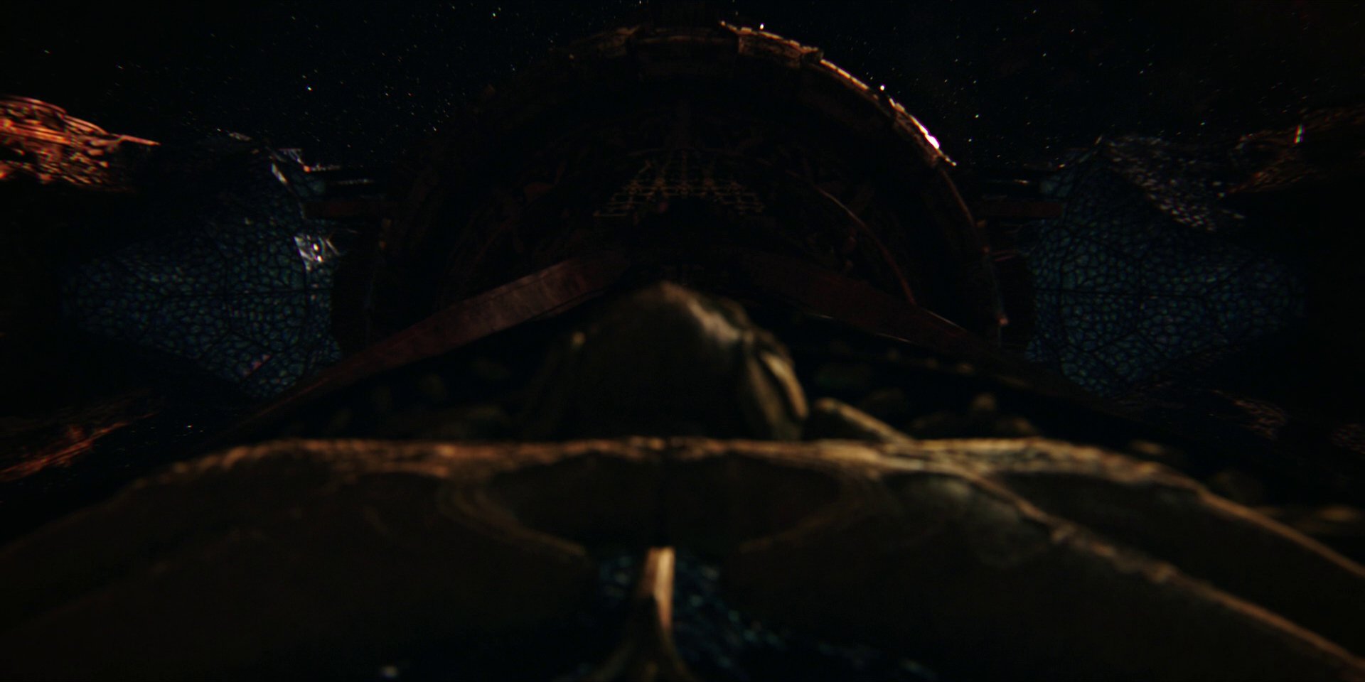extant_StarTrekDiscovery_1x01-AVulcanHello_2124.jpg