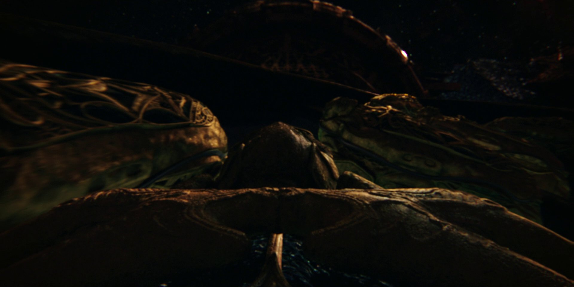 extant_StarTrekDiscovery_1x01-AVulcanHello_2130.jpg