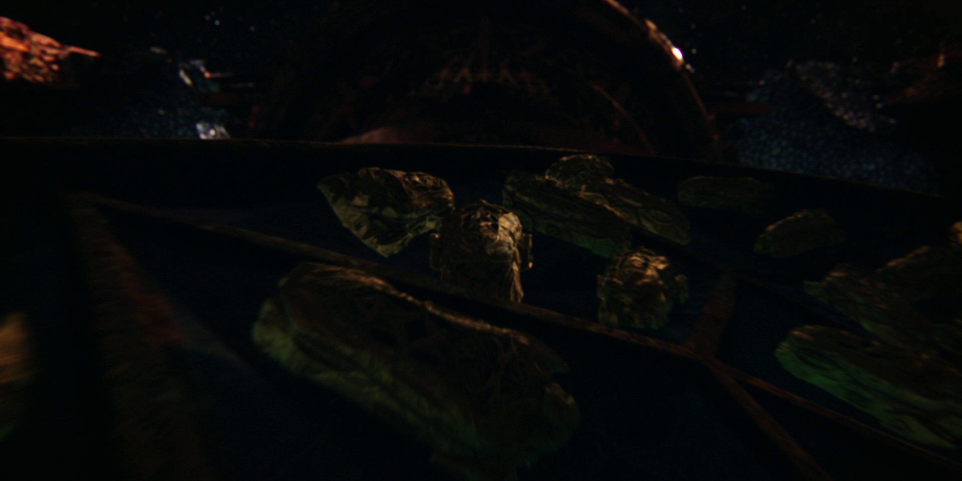 extant_StarTrekDiscovery_1x01-AVulcanHello_2138.jpg