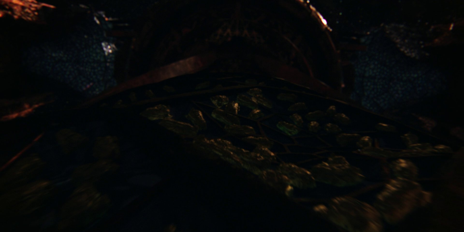 extant_StarTrekDiscovery_1x01-AVulcanHello_2145.jpg