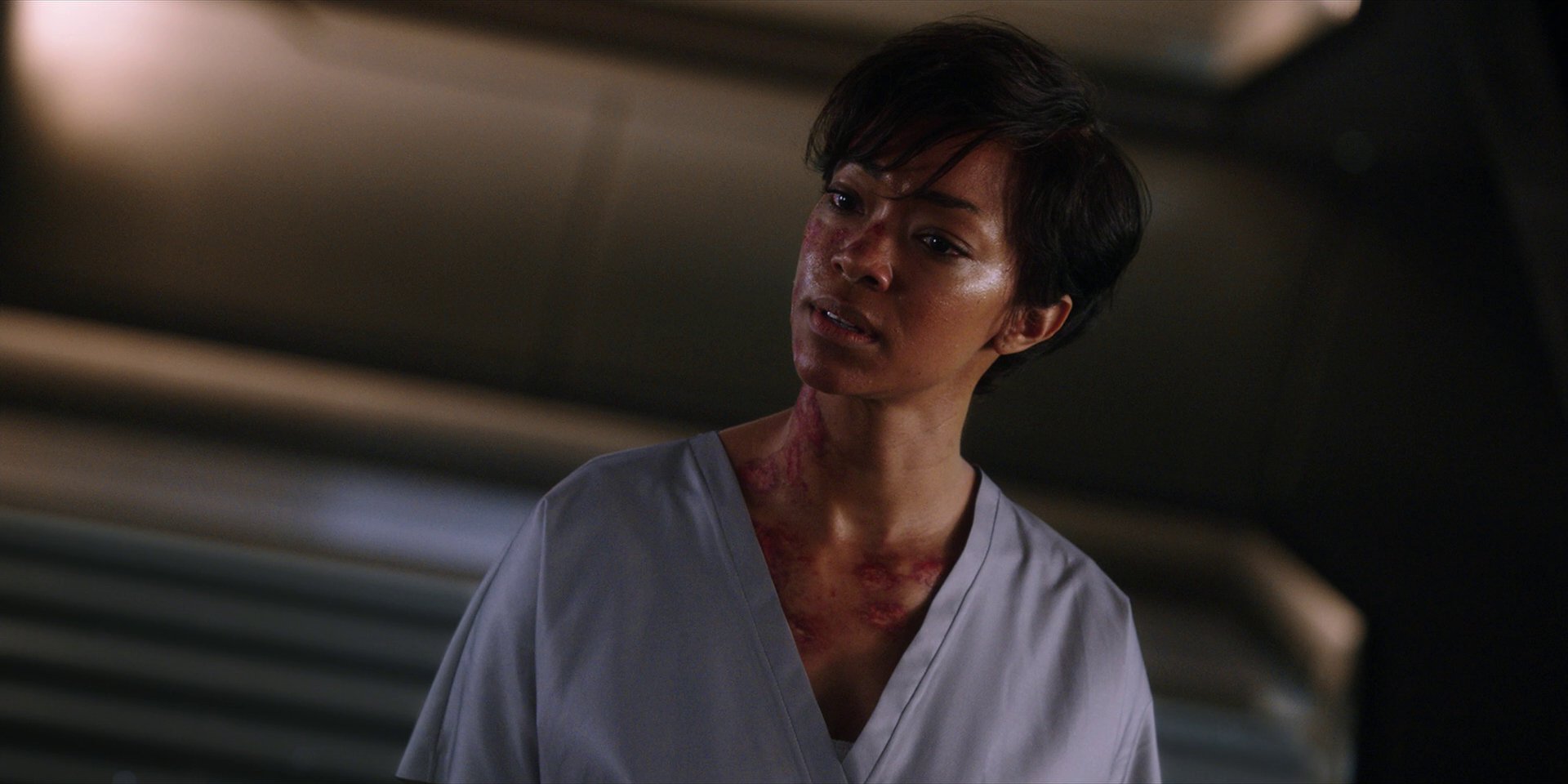 extant_StarTrekDiscovery_1x01-AVulcanHello_2533.jpg