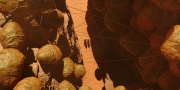 extant_StarTrekDiscovery_1x01-AVulcanHello_0217.jpg