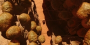 extant_StarTrekDiscovery_1x01-AVulcanHello_0221.jpg