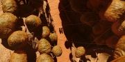 extant_StarTrekDiscovery_1x01-AVulcanHello_0222.jpg
