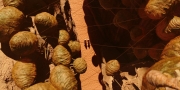 extant_StarTrekDiscovery_1x01-AVulcanHello_0224.jpg