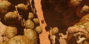 extant_StarTrekDiscovery_1x01-AVulcanHello_0225.jpg