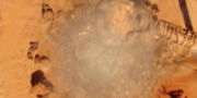 extant_StarTrekDiscovery_1x01-AVulcanHello_0316.jpg