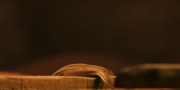 extant_StarTrekDiscovery_1x01-AVulcanHello_0397.jpg