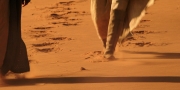 extant_StarTrekDiscovery_1x01-AVulcanHello_0423.jpg