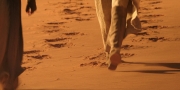 extant_StarTrekDiscovery_1x01-AVulcanHello_0425.jpg