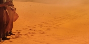 extant_StarTrekDiscovery_1x01-AVulcanHello_0544.jpg