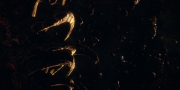 extant_StarTrekDiscovery_1x01-AVulcanHello_1608.jpg