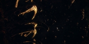 extant_StarTrekDiscovery_1x01-AVulcanHello_1610.jpg