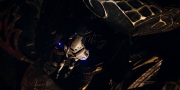 extant_StarTrekDiscovery_1x01-AVulcanHello_1626.jpg