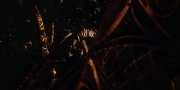 extant_StarTrekDiscovery_1x01-AVulcanHello_1675.jpg
