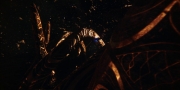 extant_StarTrekDiscovery_1x01-AVulcanHello_1676.jpg