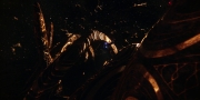 extant_StarTrekDiscovery_1x01-AVulcanHello_1677.jpg