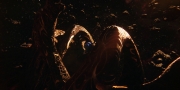 extant_StarTrekDiscovery_1x01-AVulcanHello_1691.jpg