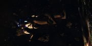 extant_StarTrekDiscovery_1x01-AVulcanHello_1719.jpg