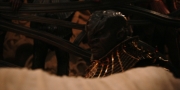 extant_StarTrekDiscovery_1x01-AVulcanHello_1975.jpg