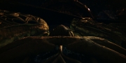 extant_StarTrekDiscovery_1x01-AVulcanHello_2131.jpg