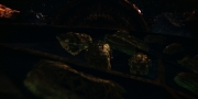 extant_StarTrekDiscovery_1x01-AVulcanHello_2137.jpg