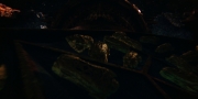 extant_StarTrekDiscovery_1x01-AVulcanHello_2138.jpg