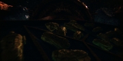 extant_StarTrekDiscovery_1x01-AVulcanHello_2139.jpg