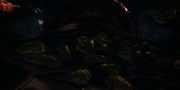 extant_StarTrekDiscovery_1x01-AVulcanHello_2142.jpg