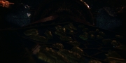 extant_StarTrekDiscovery_1x01-AVulcanHello_2143.jpg