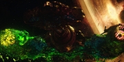 extant_StarTrekDiscovery_1x01-AVulcanHello_2647.jpg