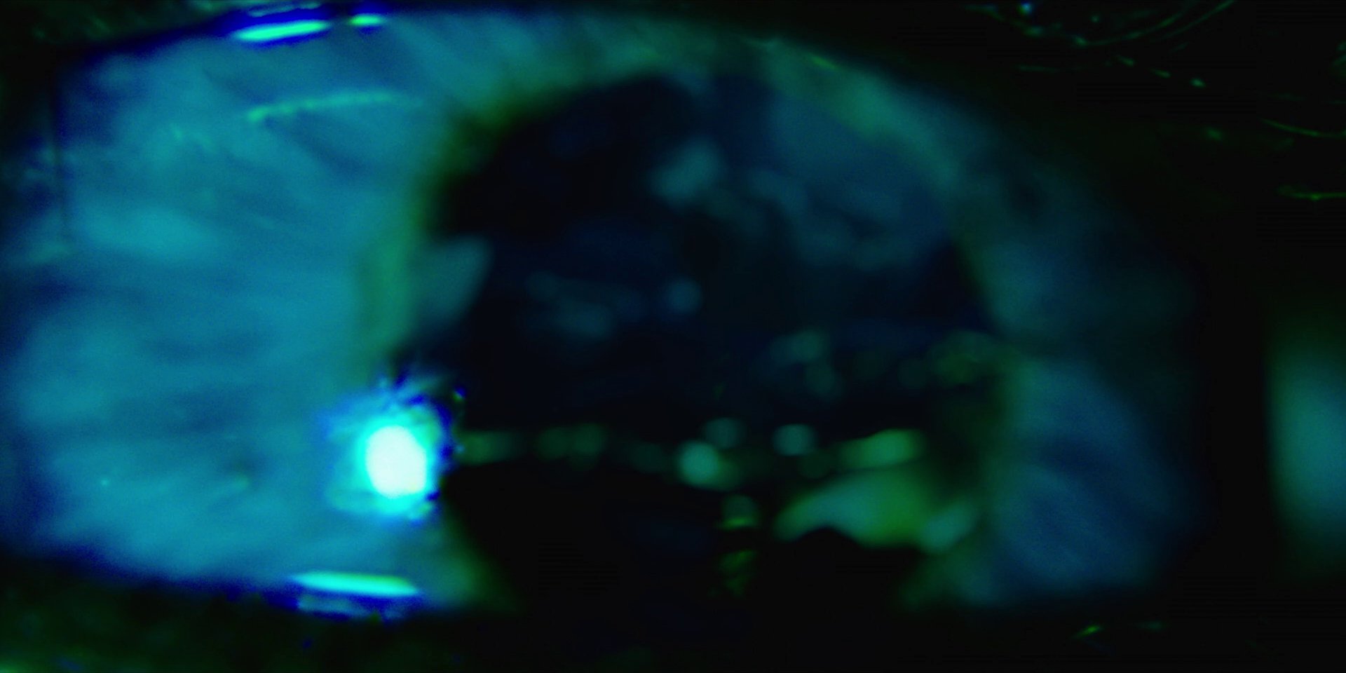 extant_StarTrekDiscovery_1x02-BattleAtTheBinaryStars_0722.jpg