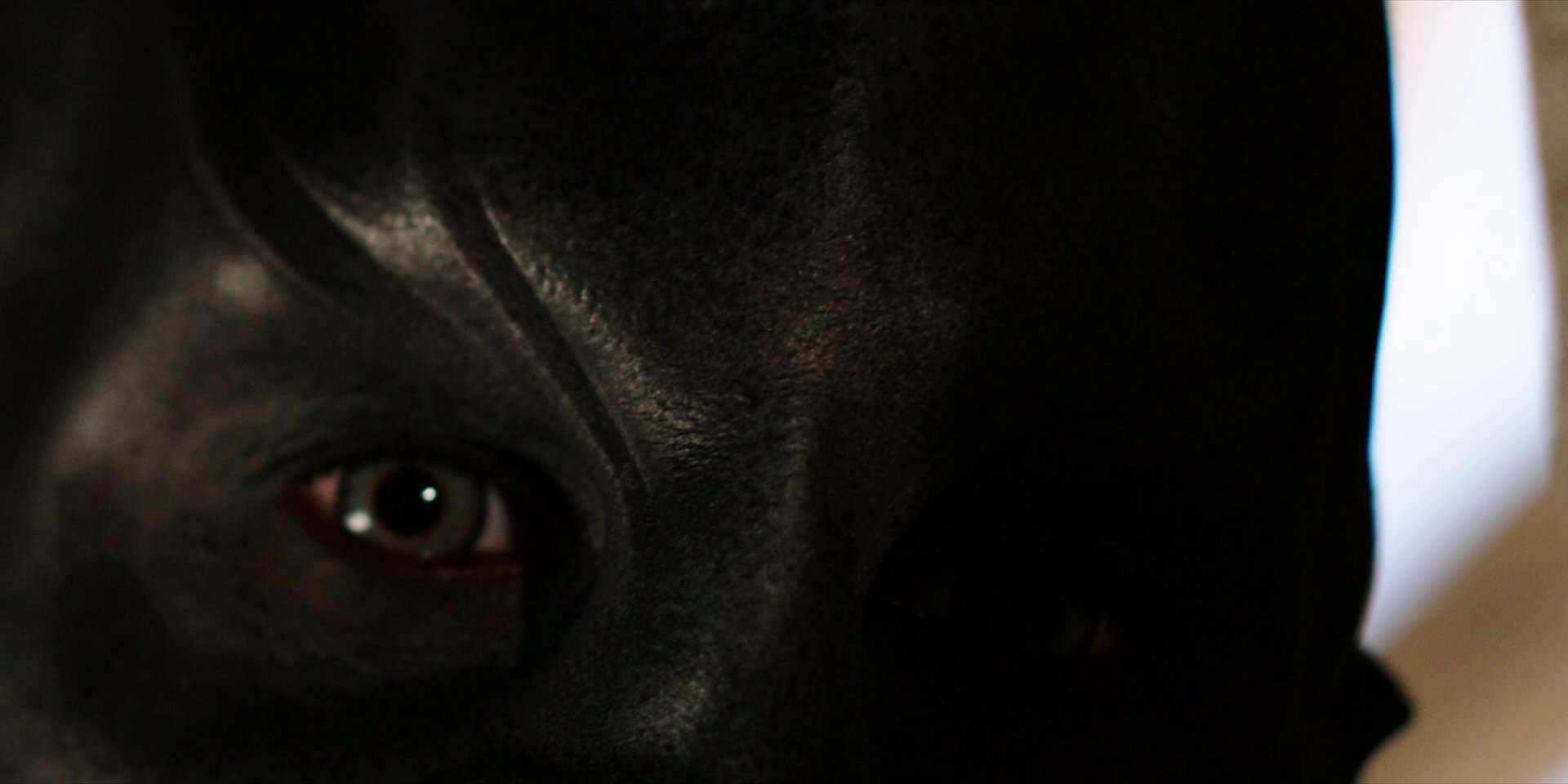 extant_StarTrekDiscovery_1x02-BattleAtTheBinaryStars_0747.jpg