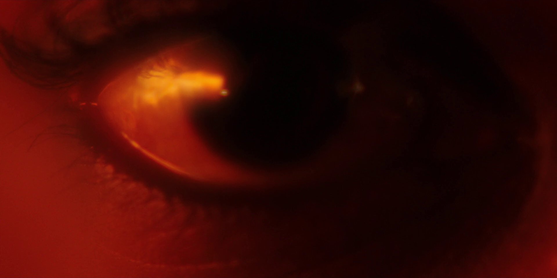 extant_StarTrekDiscovery_1x02-BattleAtTheBinaryStars_1524.jpg